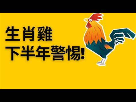 屬雞坐北朝南|【屬雞買房座向】想知道「屬雞買房」最佳坐向和樓層嗎？快進來。